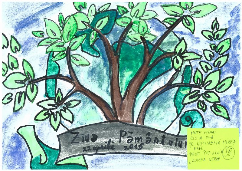 57_Mihai HOTE_Miresu Mare.jpg